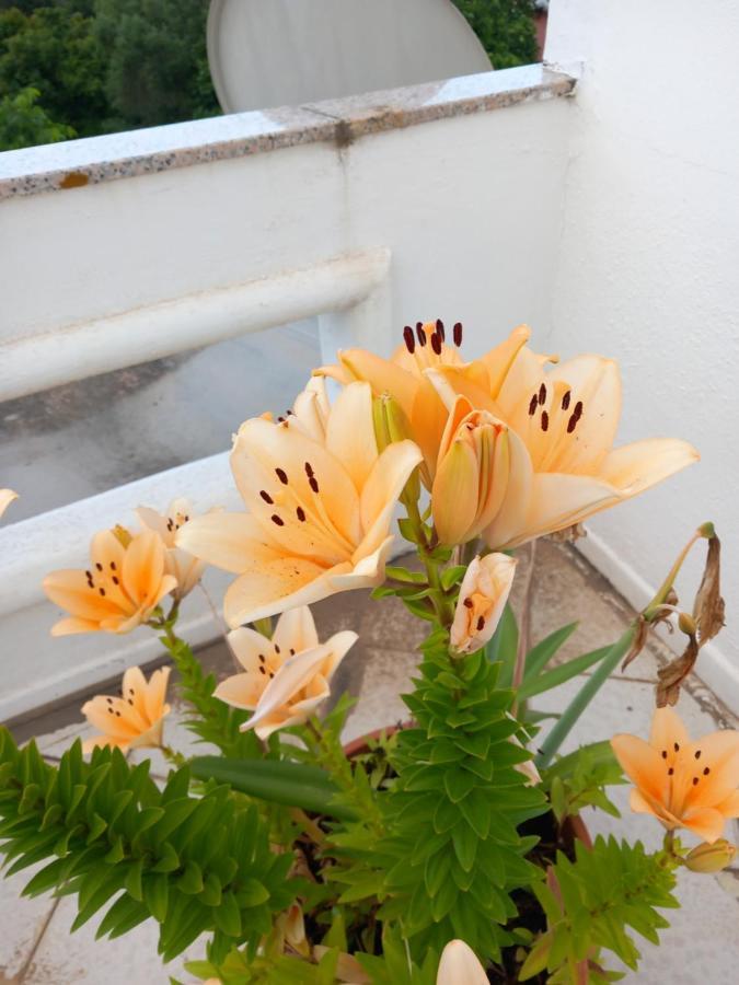 Sa Tanca De Su Mare Bed & Breakfast บูโดนี ภายนอก รูปภาพ